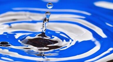 the essence of a diet for weight loss